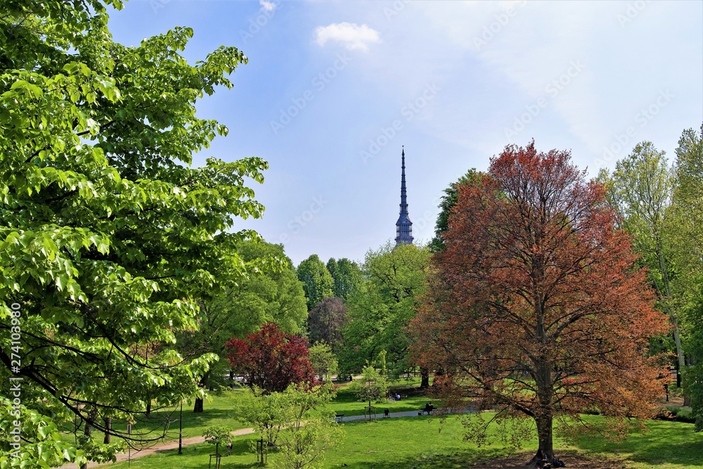 View of Mole Antonelliana, from the Palazzo Reale gardens, Turin