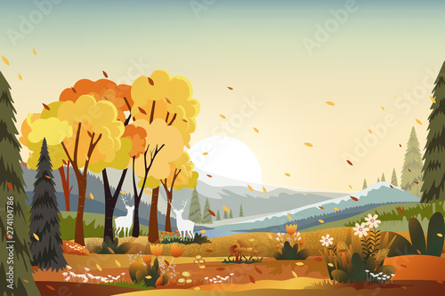 Landscapes of countryside in autumn farm field, mountains, wild grass and leaves falling from trees in yellow foliage.