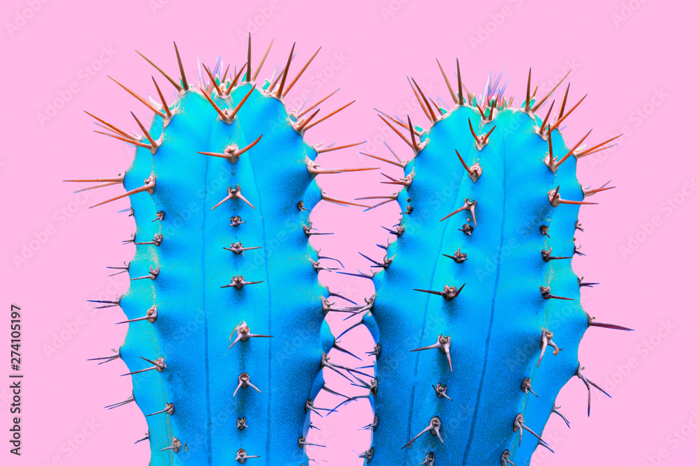 Fototapeta Kaktus kolorowy modny nastrój. Modna tropikalna neonowa kaktusowa roślina na różowym koloru tle. Moda minimalistyczna koncepcja sztuki. Kreatywny styl.