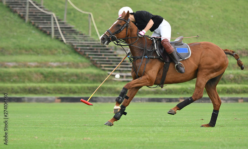 horse polo player use a mallet hit ball