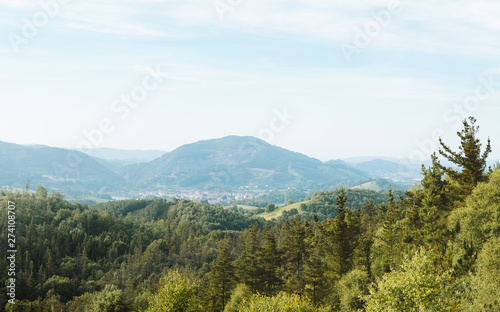 Panoramic view above the trees