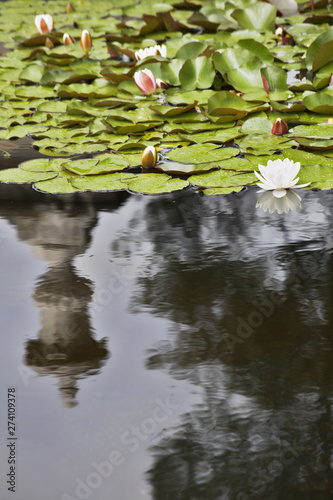 The vase reflected in a park pond © Kushnirov Avraham