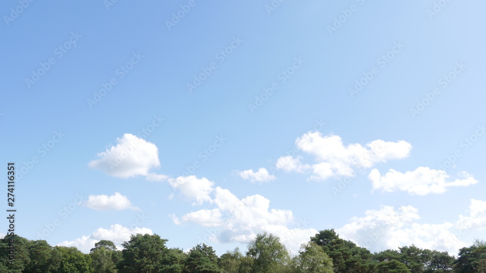 Obraz premium blue sky with clouds and forest
