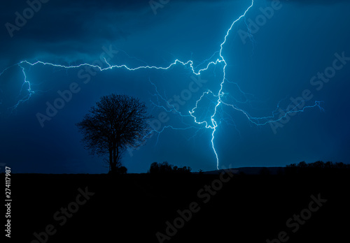 Błyskawica  na nocnym błękitnym niebie z drzewem w tle photo
