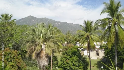 Wallpaper Mural Palm Trees On A Beautiful  Landscape Background . Torontodigital.ca