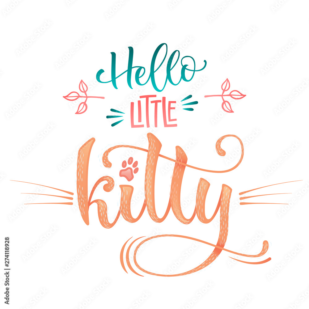 Hello little kitty quote. Color baby shower hand drawn calligraphy style lettering phrase. Boho elements, whiskers decor. Boy, girl card, poster, print, stiker, shirt design.