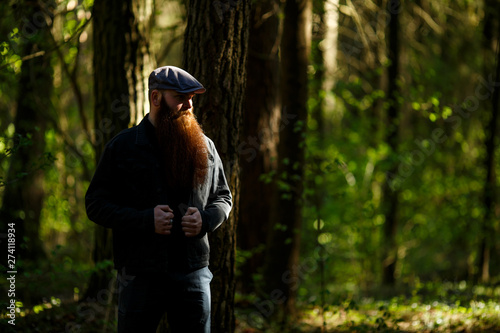Bearded man. Portrait of an serious caucasian adult man with a very long beard in a cap on a sunny day outside in the dark forest.
