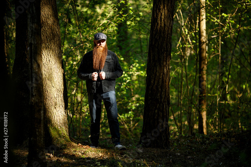 Bearded man. Portrait of an serious caucasian adult man with a very long beard in a cap on a sunny day outside in the dark forest.
