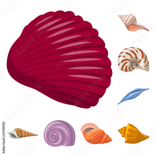 Isolated object of seashell and mollusk icon. Set of seashell and seafood stock symbol for web.