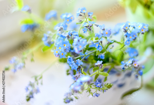 Flowers blue, blue. Selective focus.