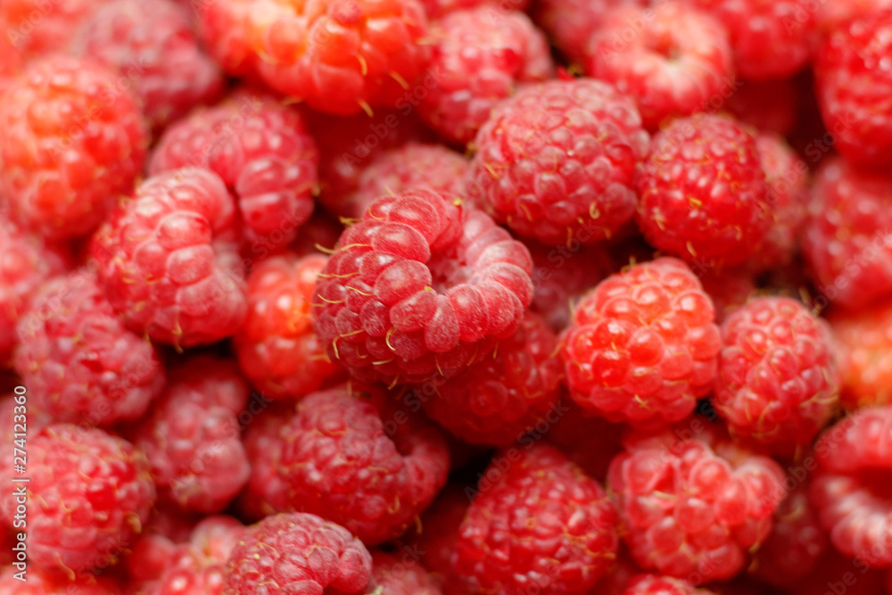 Heap of sweet red raspberries close up for background Heap of sweet red raspberries close up for background