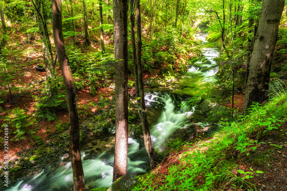 Fototapeta premium Summer mountain colors of 
