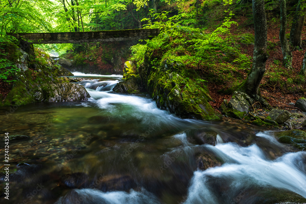 Summer mountain colors of Summer mountain colors of