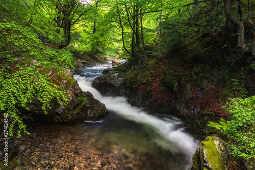 Summer mountain colors of " Old River " , Stara reka reserve, located at Central Balkan national park in Bulgaria