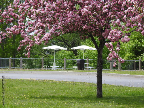 The entrance to the Montmagny campsite photo