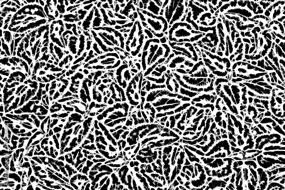 Hintergrund - Textur Muster in schwarz-weiß Hintergrund - Textur Muster in schwarz-weiß