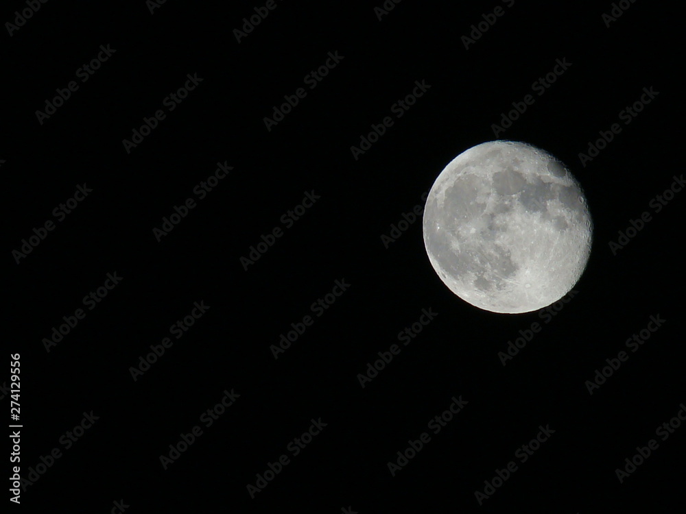 Naklejka premium Moon after dark