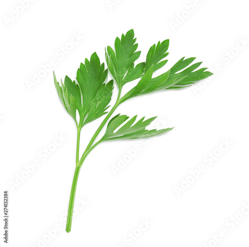 Leaves of fresh tasty parsley on white background