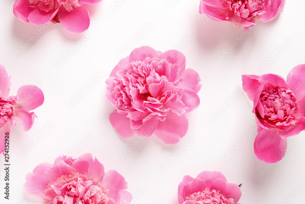Beautiful peony flowers on white background, top view Beautiful peony flowers on white background, top view