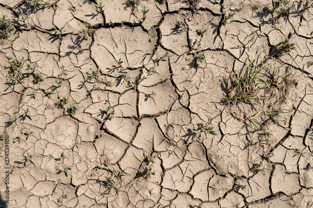 Spekana earth during drought. Lack of water in areas with low rainfall. Spekana earth during drought. Lack of water in areas with low rainfall.