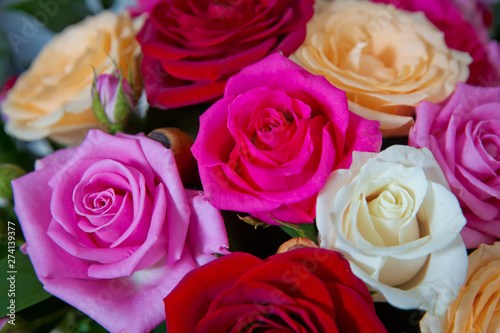 Beautiful wedding colorfull bouquet for bride. Beauty of colored flowers. Background . Beautiful bunch of Gerbera flowers with white  red  pink and yellow flowers .