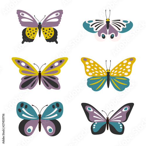 Illustration of cute vector butterflies set isolated on white background © ssstocker