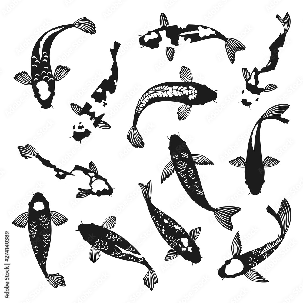 Koi fish silhouettes. Black and white swimming koi carp fishes drawings