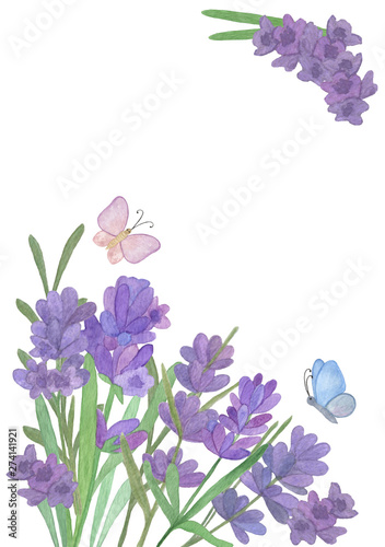 Fototapeta Naklejka Na Ścianę i Meble -  Hand drawn watercolor lavender flowers and butterflies card layout on the white background, lavender flowers watercolor illustration