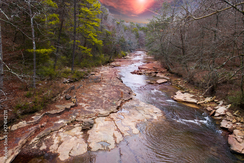 sunset in the forest