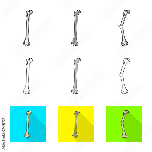 Vector design of medicine and clinic symbol. Collection of medicine and medical vector icon for stock.
