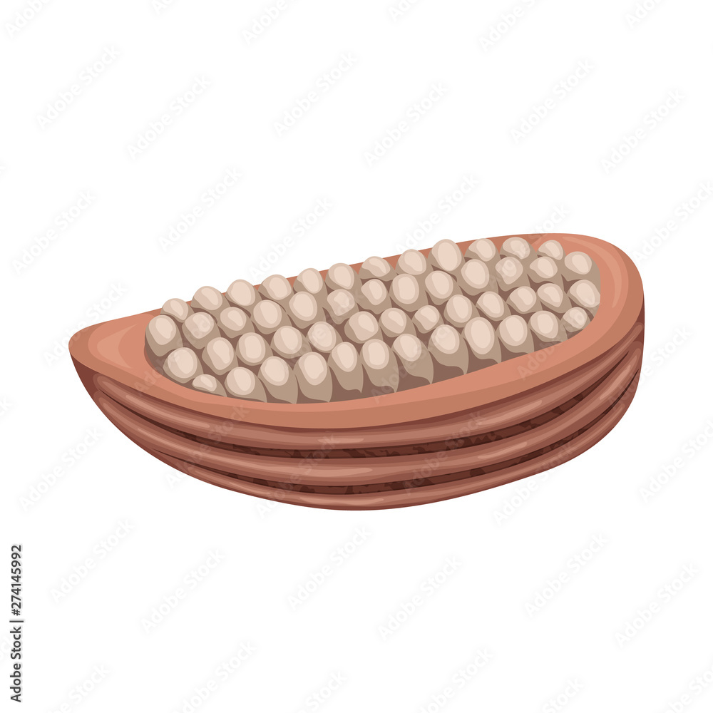 Vector illustration of seed and chocolate sign. Collection of seed and fresh stock vector illustration. Vector illustration of seed and chocolate sign. Collection of seed and fresh stock vector illustration.