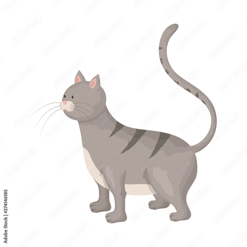 Isolated object of cat and kitten logo. Collection of cat and animal vector icon for stock.
