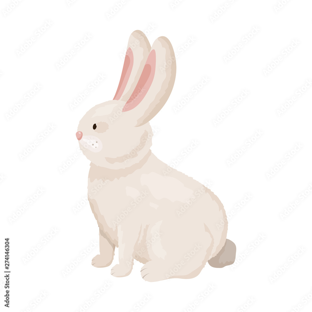 Isolated object of rabbit and pet icon. Set of rabbit and bunny stock symbol for web.