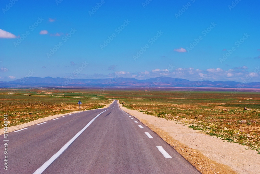 Naklejka premium Routes d'algerie, Hauts plateaux