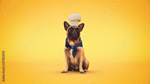 Schilderij op canvas dog chef cook. 3d rendering