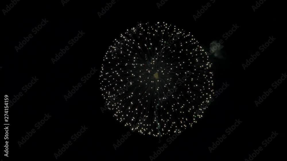 the fireworks in the night sky