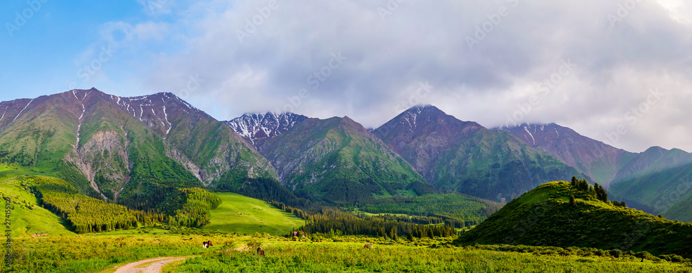 Panorama of a mountain valley in the summer. Fabulous sunset in the mountains, amazing nature, a mountain range. The road leads to the depths of the mountains. Travel and camping, tourism
