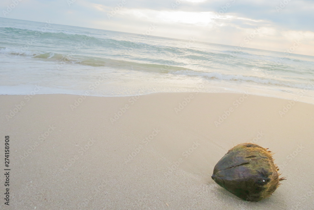 Dry coconut laying on beautiful white sandy beach near calm blue sea Dry coconut laying on beautiful white sandy beach near calm blue sea