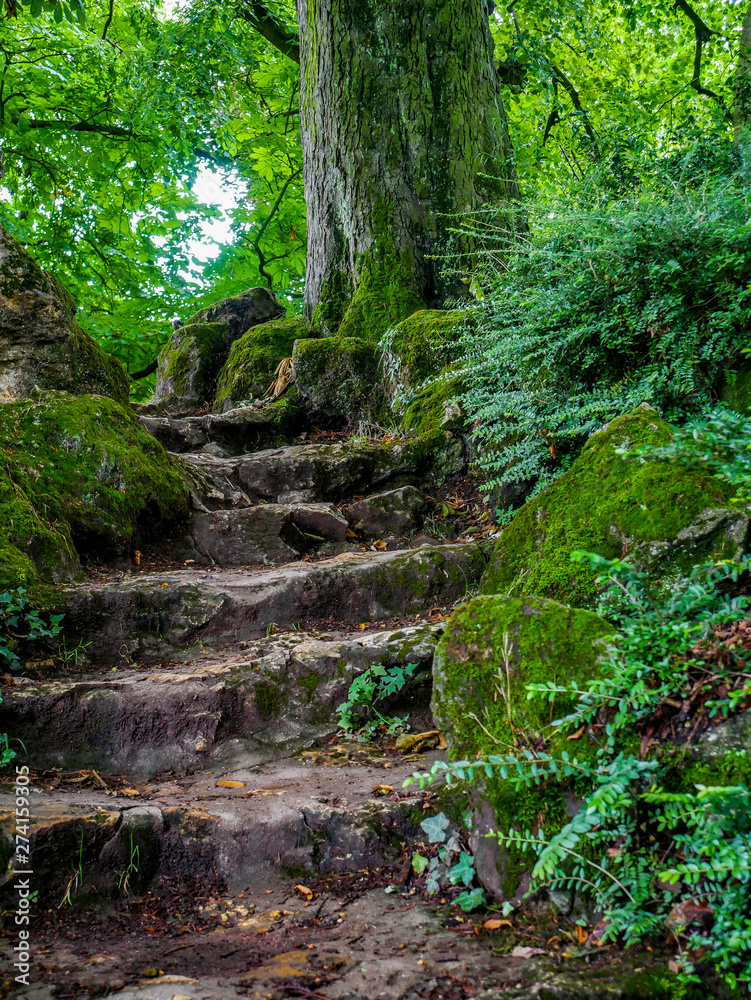 footpath park stairs footpath park stairs