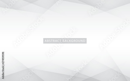 Abstract light silver background vector. Modern white background.