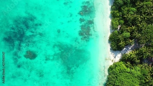 Wallpaper Mural Trop Down View on a Tropical Island in Bali Torontodigital.ca