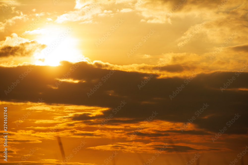Fototapeta premium Evening weather, Golden sky and cloud with Light sunshine, Dark shadow meadow in the field.