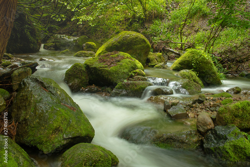 兵庫県・苔むす渓谷、小代地区の風景