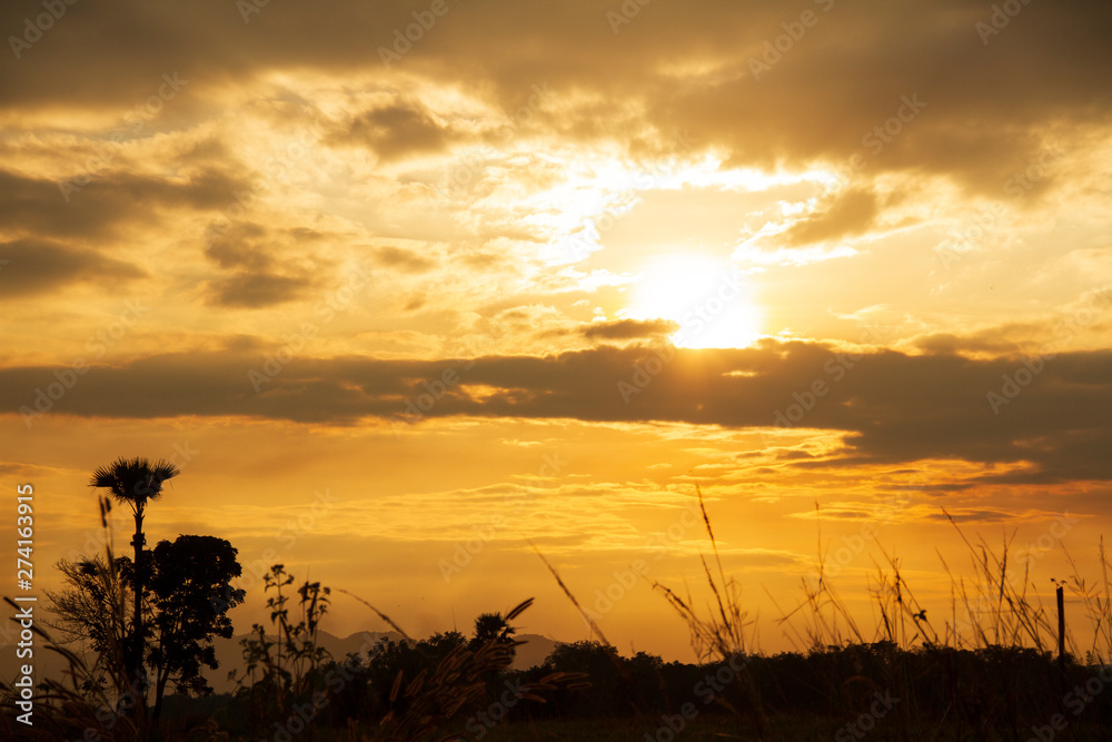 Obraz premium Evening weather, Golden sky and cloud with Light sunshine, Dark shadow meadow in the field and far away as a mountain.