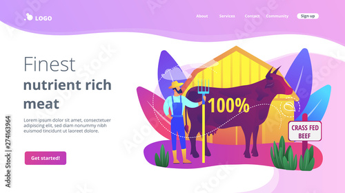 Organic agriculture industry. Eco farming, cattle breeding business. Grass fed beef, grass-finished beef, finest nutrient rich meat concept. Bright vibrant violet vector isolated illustration