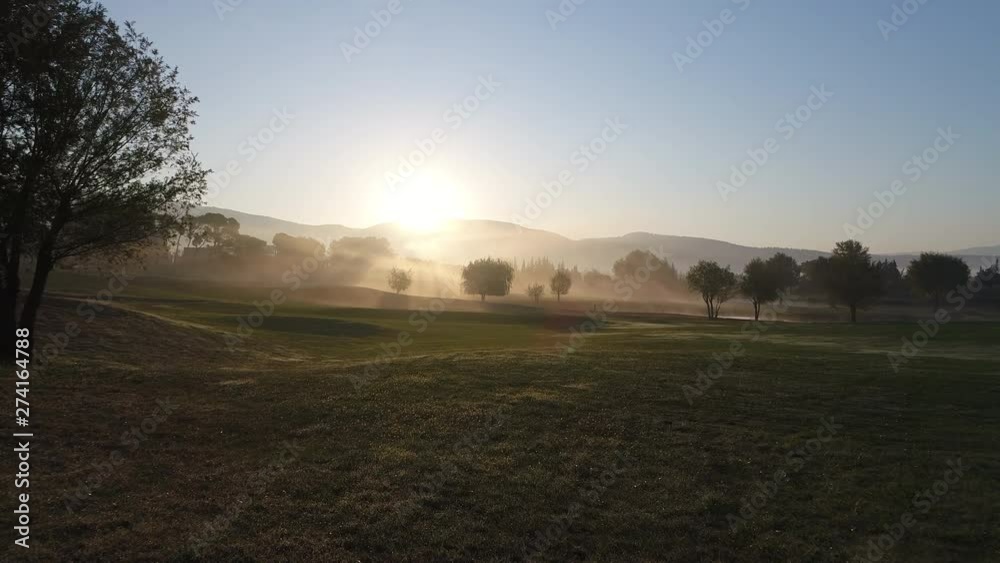 Aerial view at ground level in the early morning in a park with mist of beautiful rays of suns and trees in background Aerial view at ground level in the early morning in a park with mist of beautiful rays of suns and trees in background