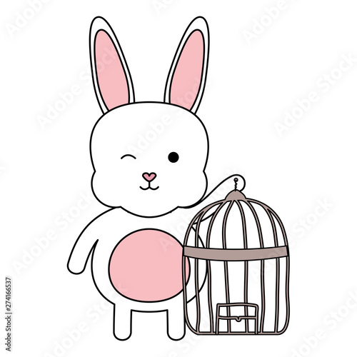 cute little rabbit with cage bird