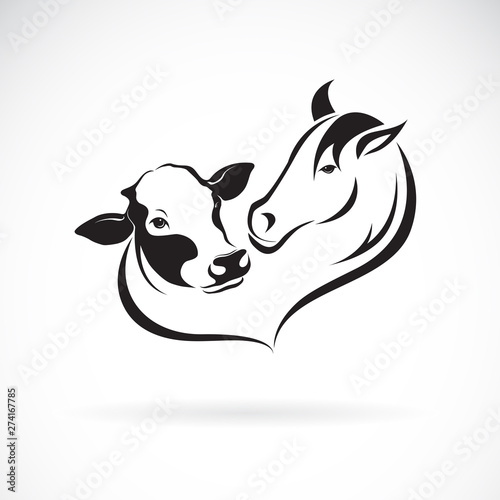 Vector of horse head and cow head design on a white background. Animals farm. Easy editable layered vector illustration.