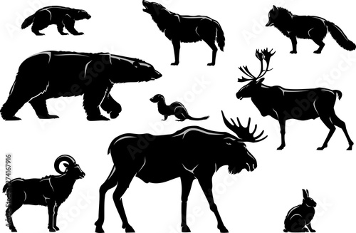 Arctic North Land Animals
