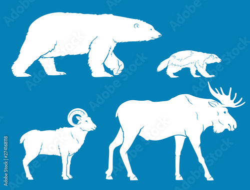 Arctic Land Animals Collection